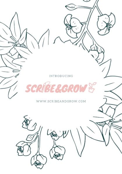 Scribe & Grow Sales Brochure